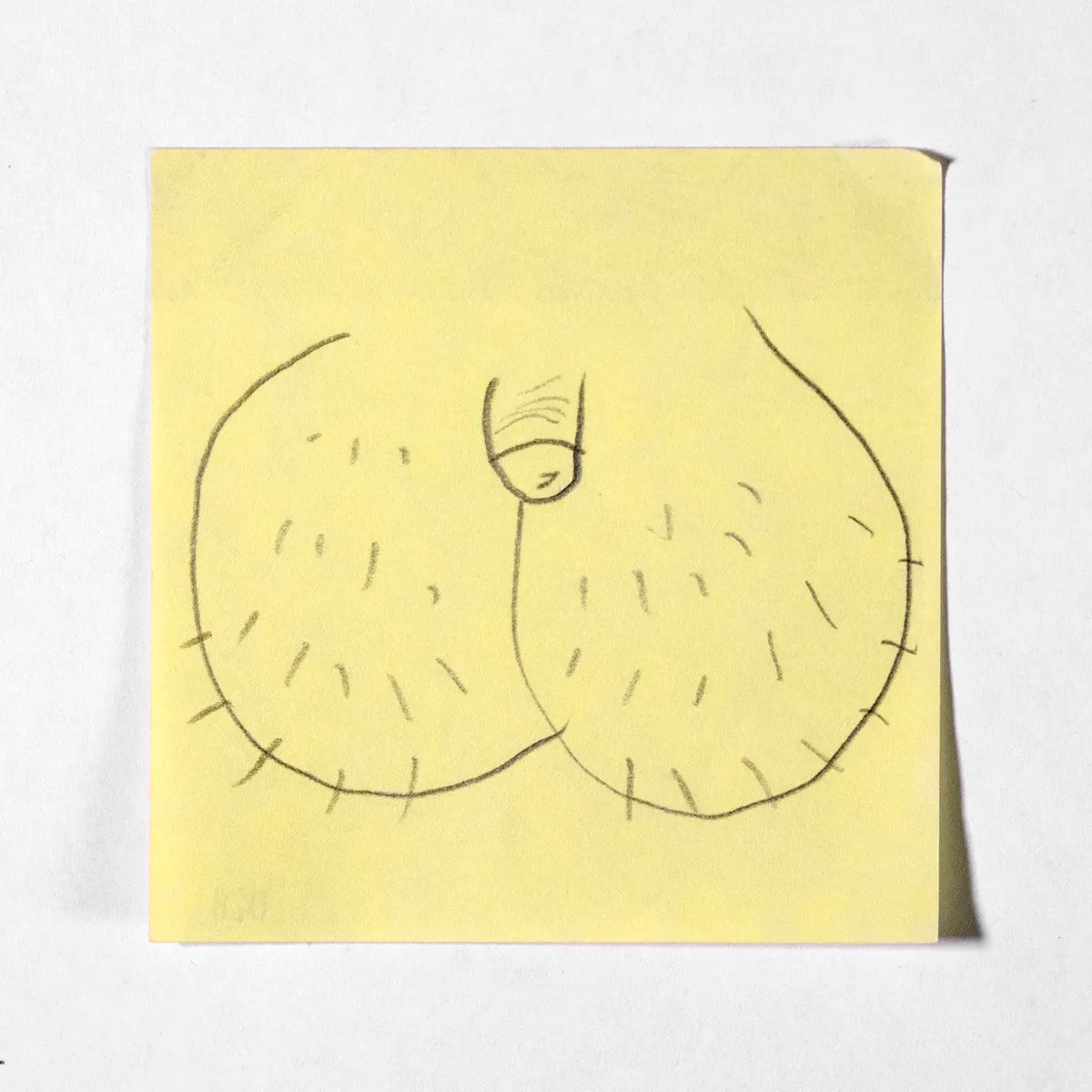 Macroscrotic1, No. 028 of 512: a hand-drawn cazzo on a sticky note