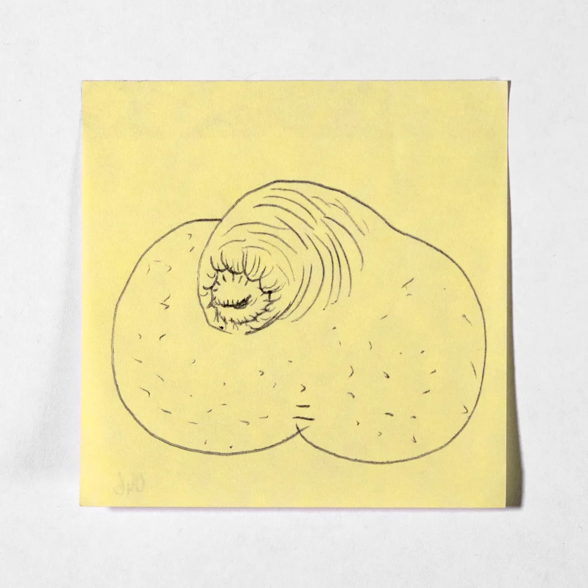 Disillusioned, No. 046 of 512: a hand-drawn cazzo on a sticky note