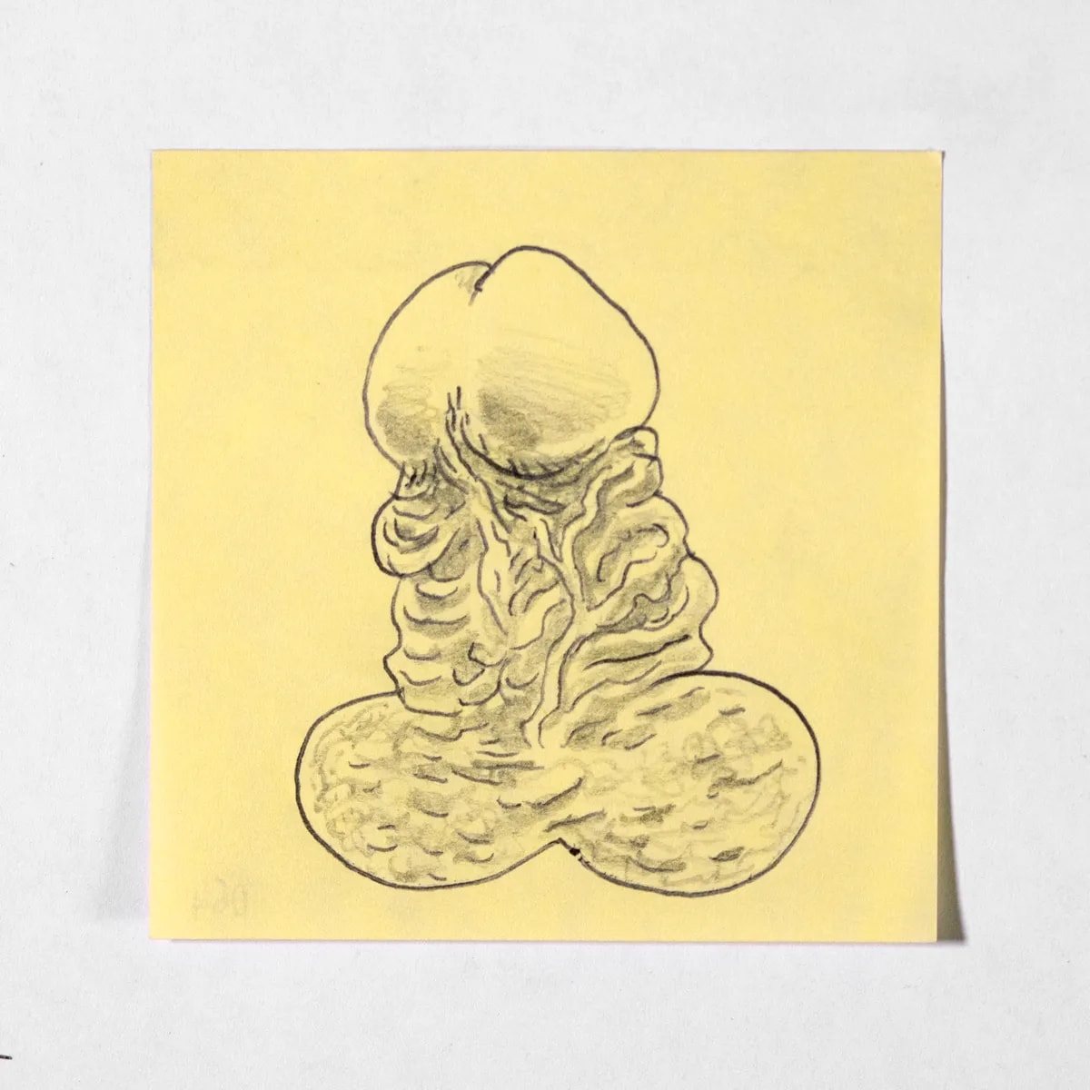 Hyperrealism, No. 064 of 512: a hand-drawn cazzo on a sticky note