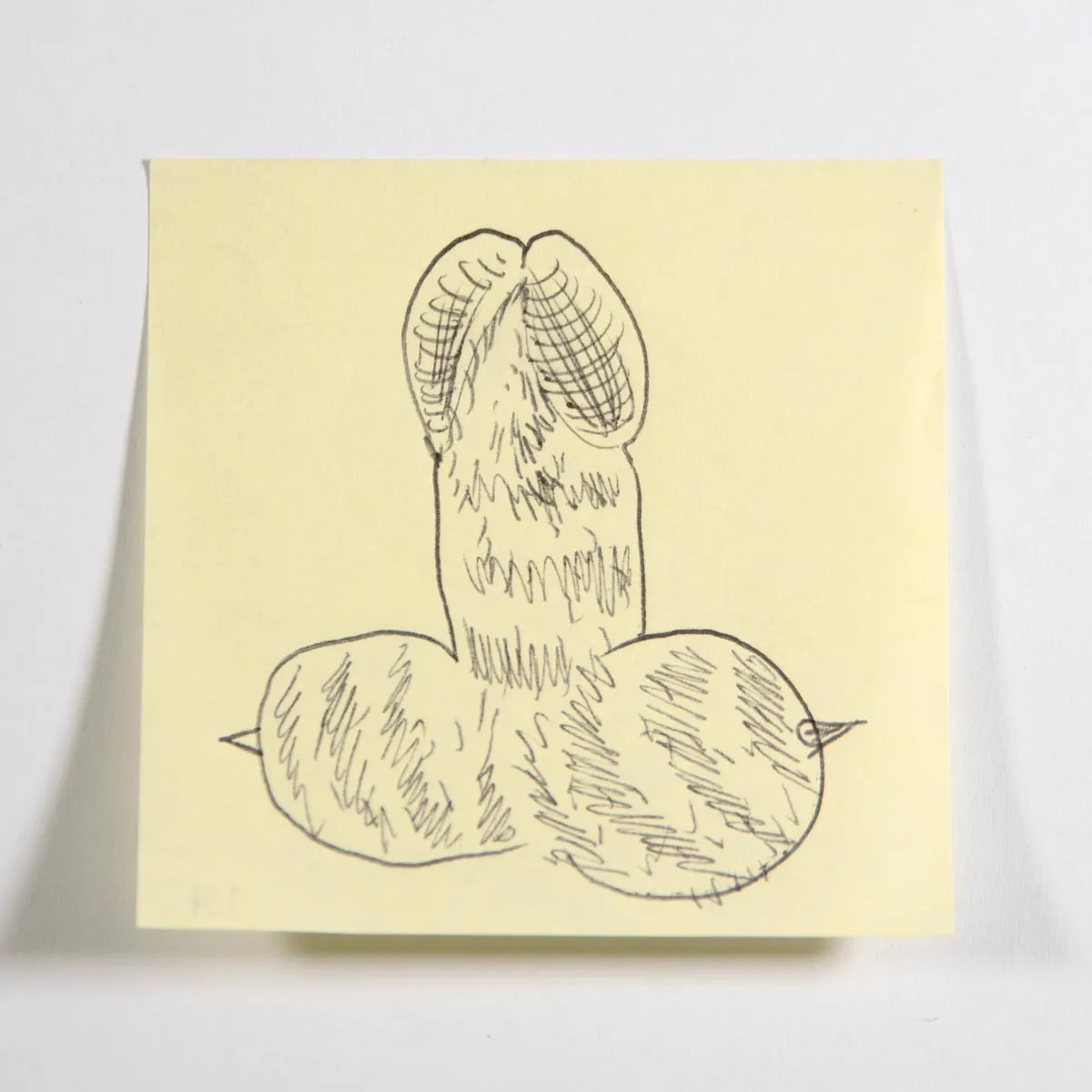 Entomorphic, No. 107 of 512: a hand-drawn cazzo on a sticky note