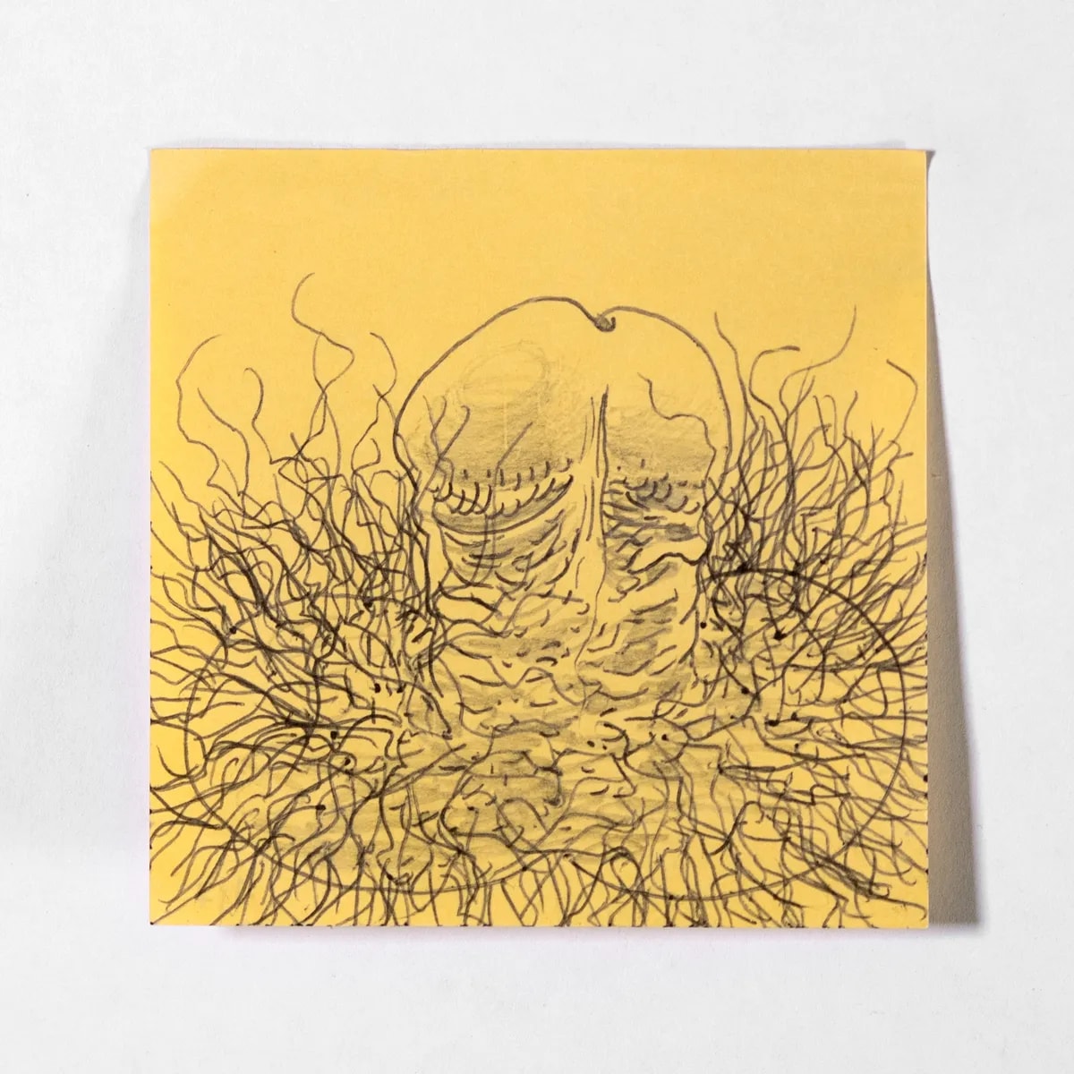 Shaggy1, No. 137 of 512: a hand-drawn cazzo on a sticky note