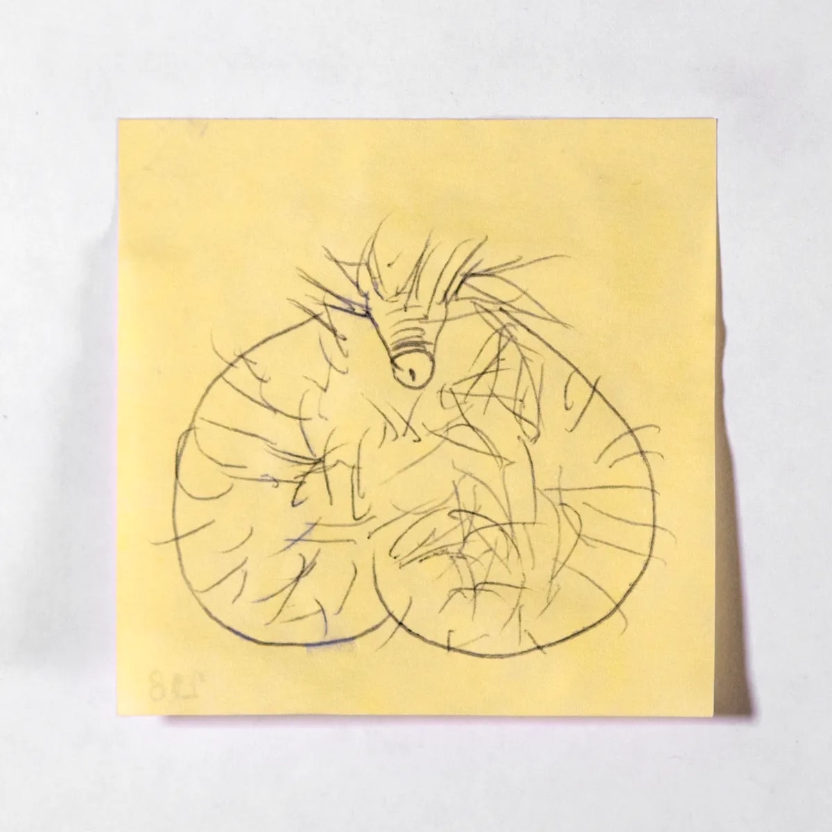 Macroscrotic3, No. 218 of 512: a hand-drawn cazzo on a sticky note