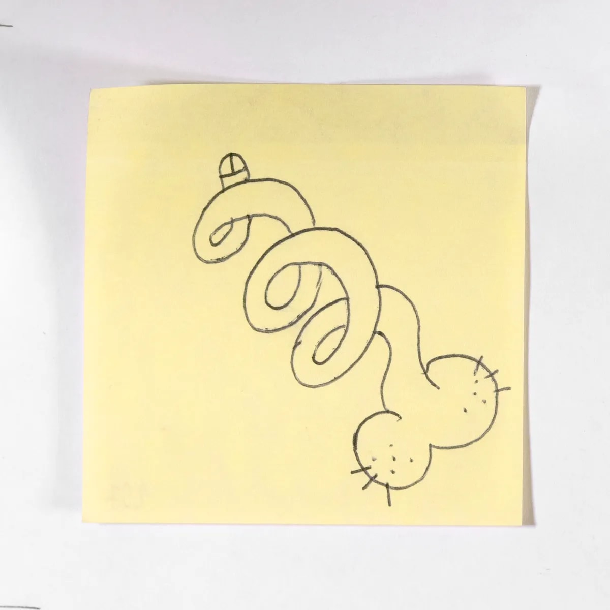 Spring, No. 257 of 512: a hand-drawn cazzo on a sticky note