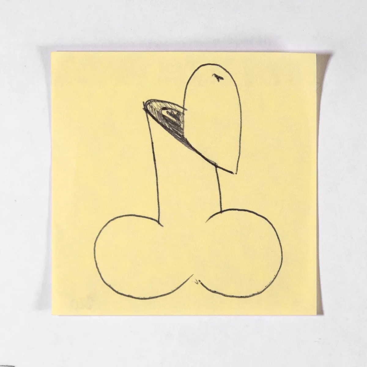 Dissected4, No. 260 of 512: a hand-drawn cazzo on a sticky note