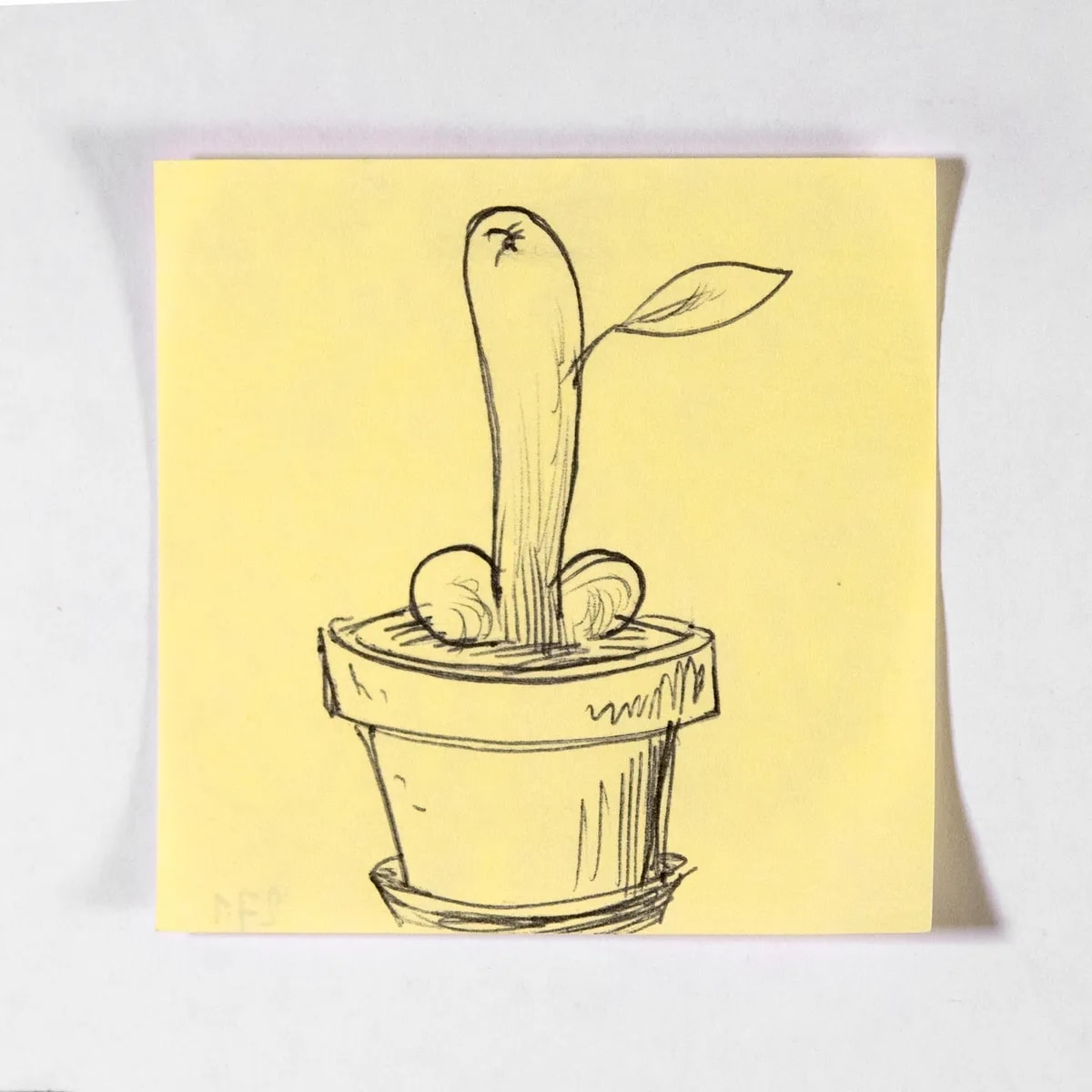 Plant, No. 271 of 512: a hand-drawn cazzo on a sticky note
