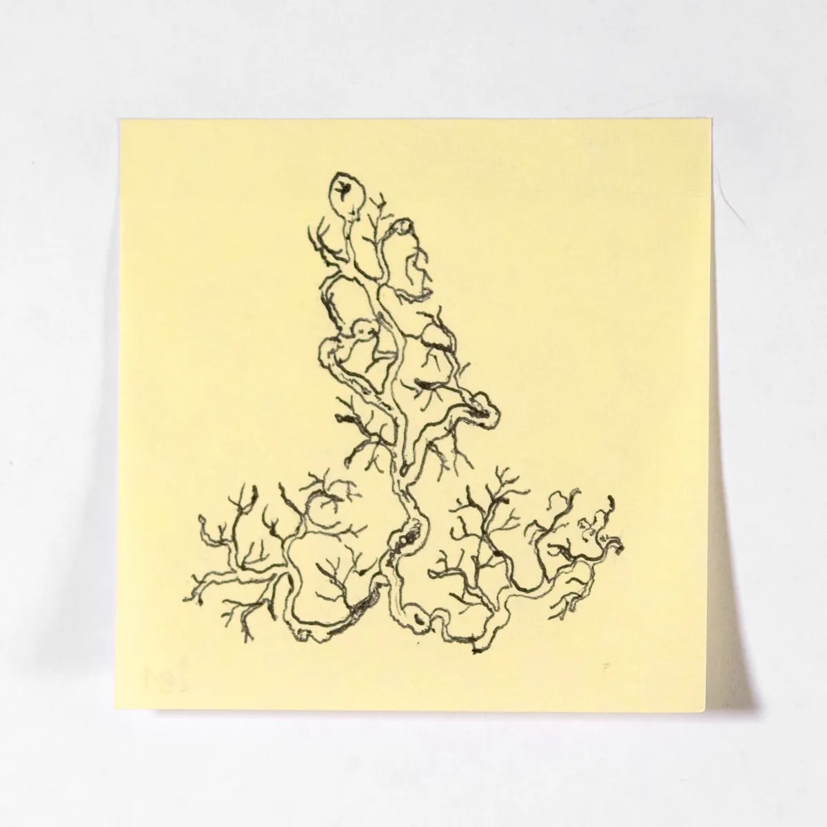 Plastinate, No. 281 of 512: a hand-drawn cazzo on a sticky note