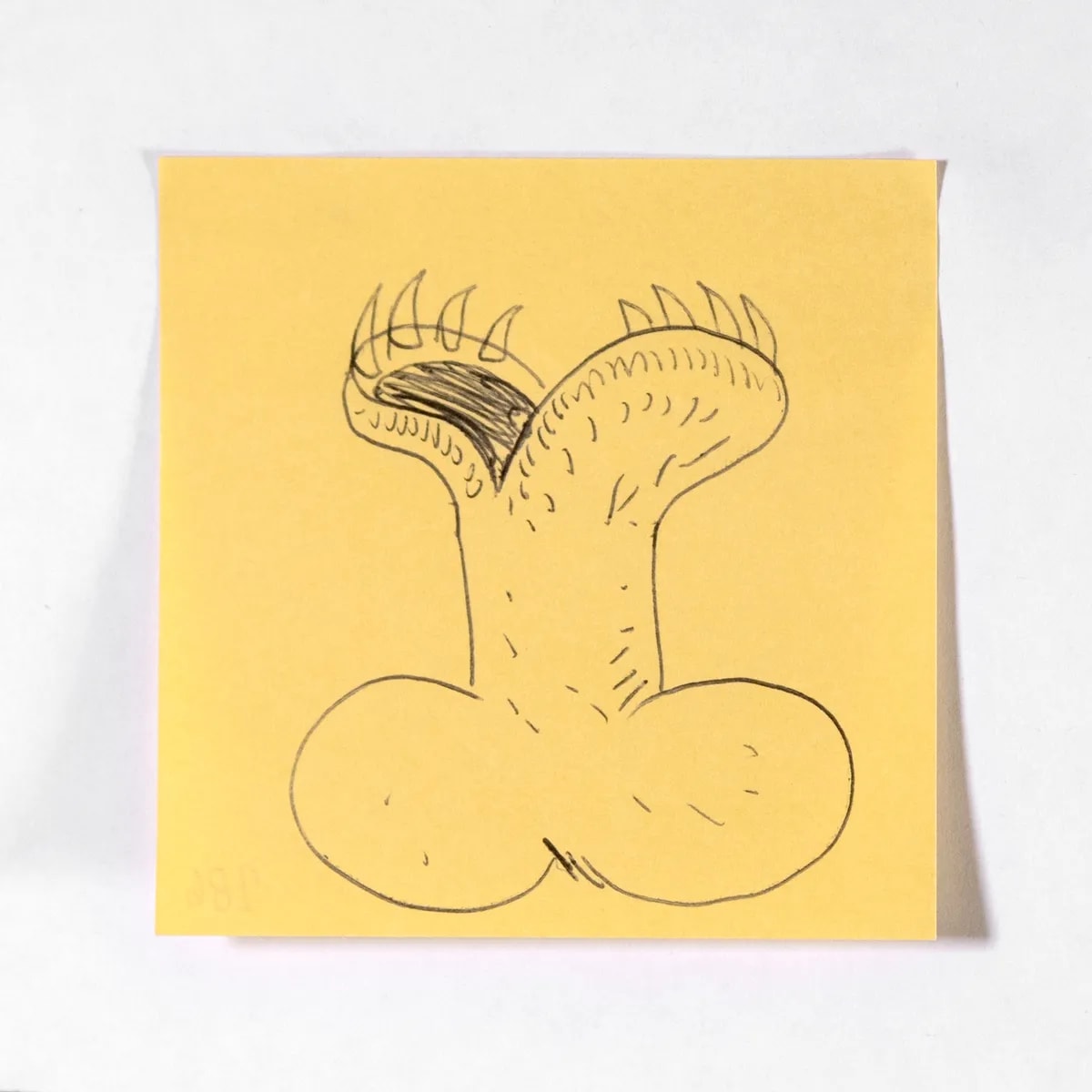 Carnivorous, No. 286 of 512: a hand-drawn cazzo on a sticky note