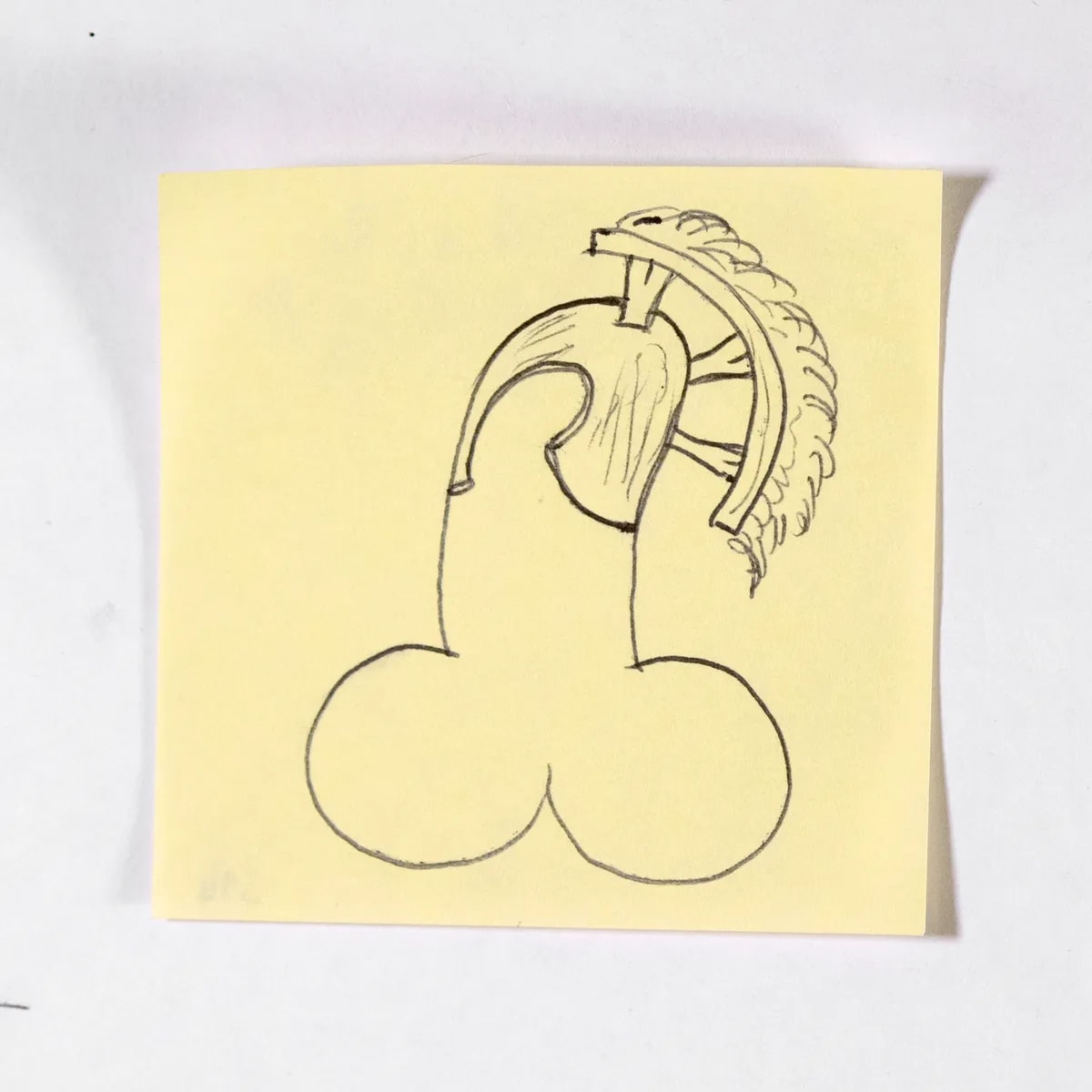 Epic, No. 314 of 512: a hand-drawn cazzo on a sticky note