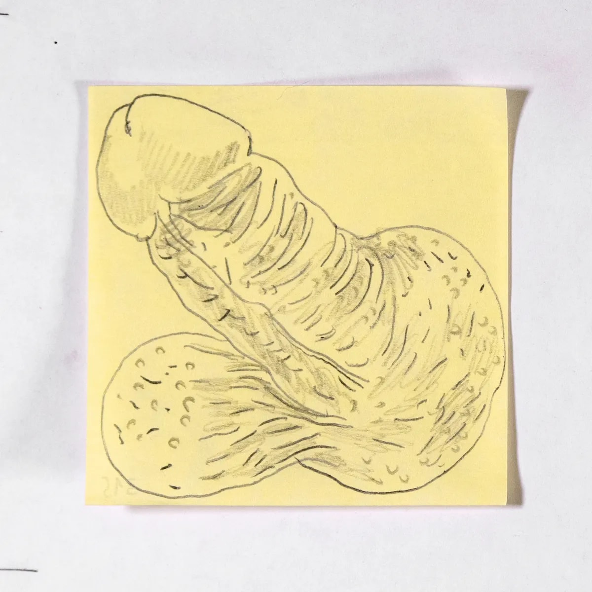 Asymmetrical2, No. 315 of 512: a hand-drawn cazzo on a sticky note