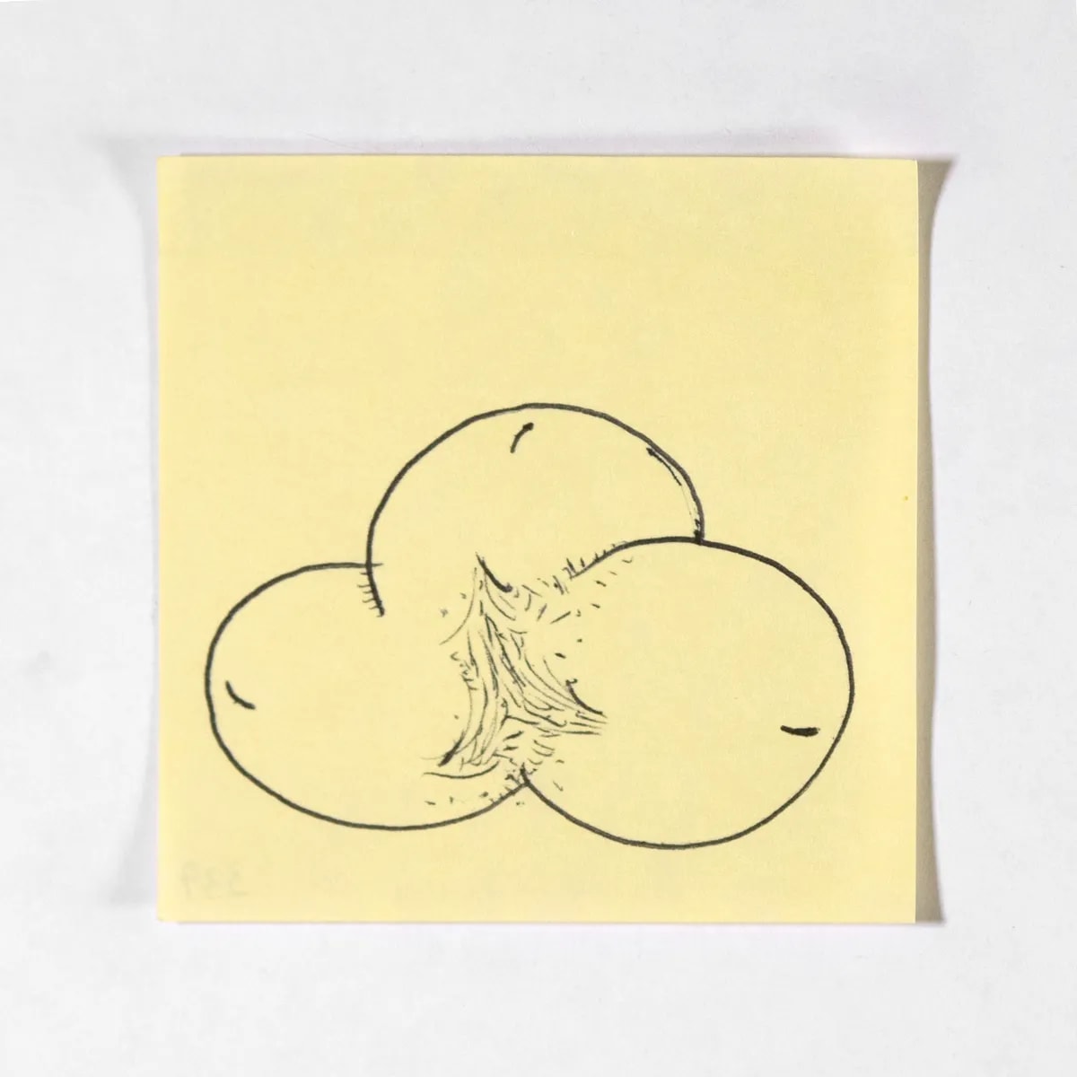 Triglans, No. 337 of 512: a hand-drawn cazzo on a sticky note