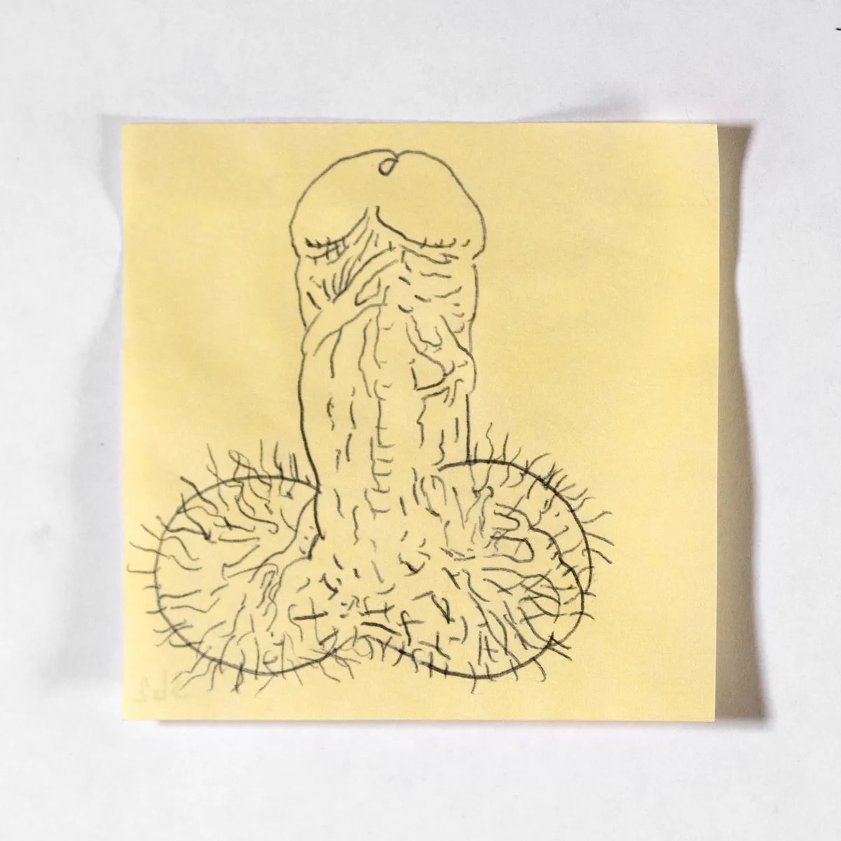 Harsh, No. 342 of 512: a hand-drawn cazzo on a sticky note