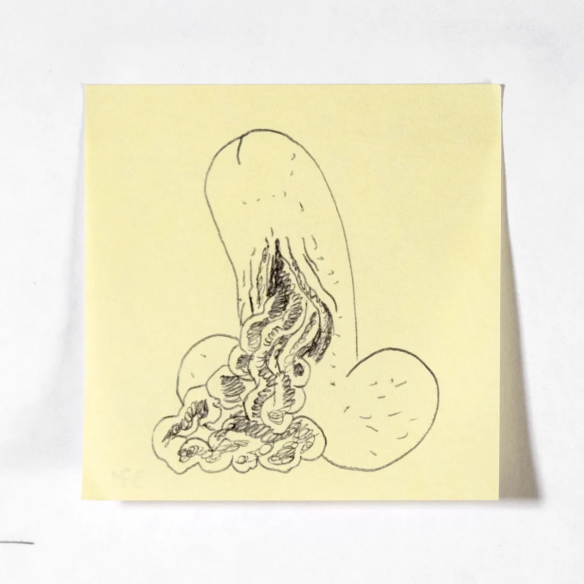 Gutted, No. 371 of 512: a hand-drawn cazzo on a sticky note