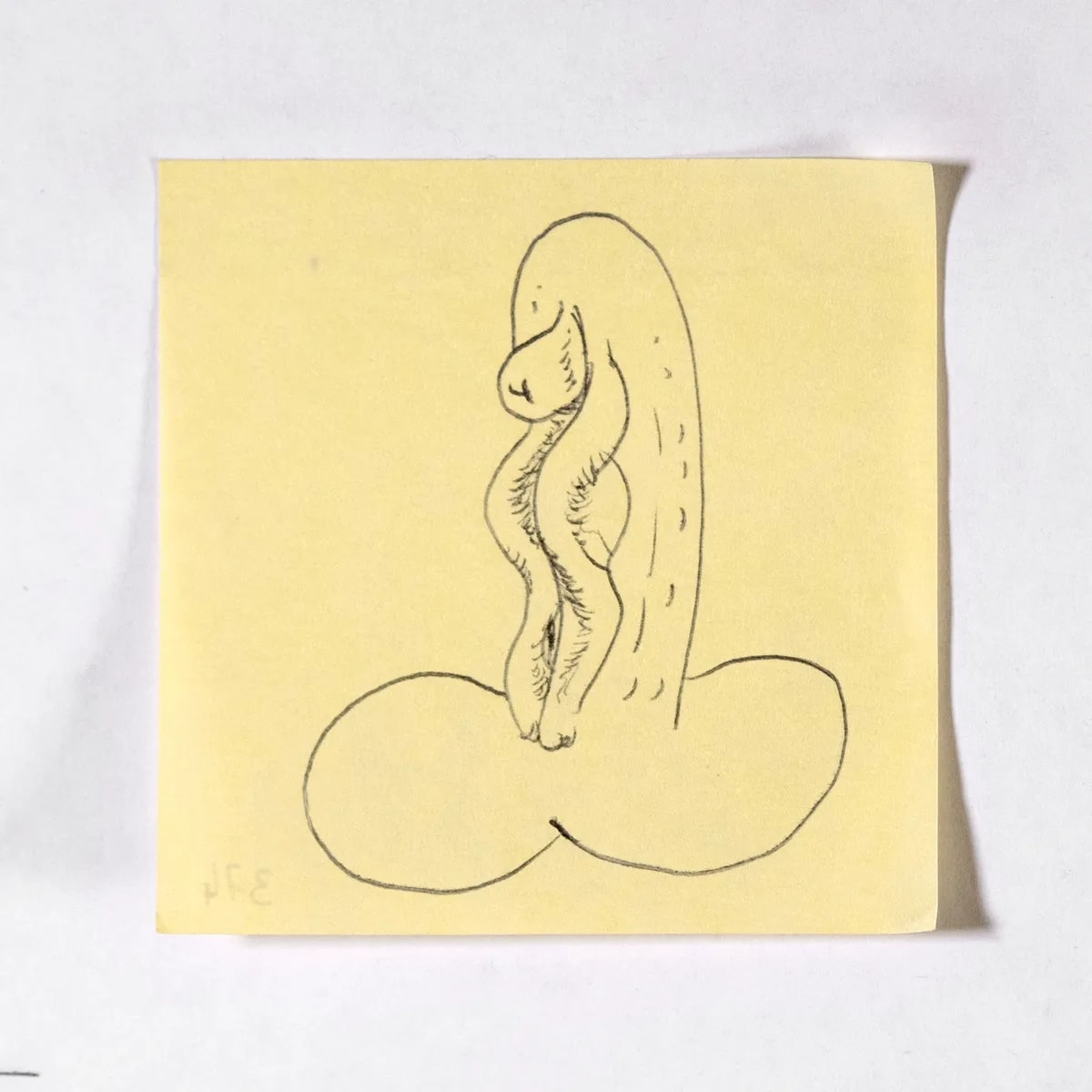 Vagina, No. 374 of 512: a hand-drawn cazzo on a sticky note