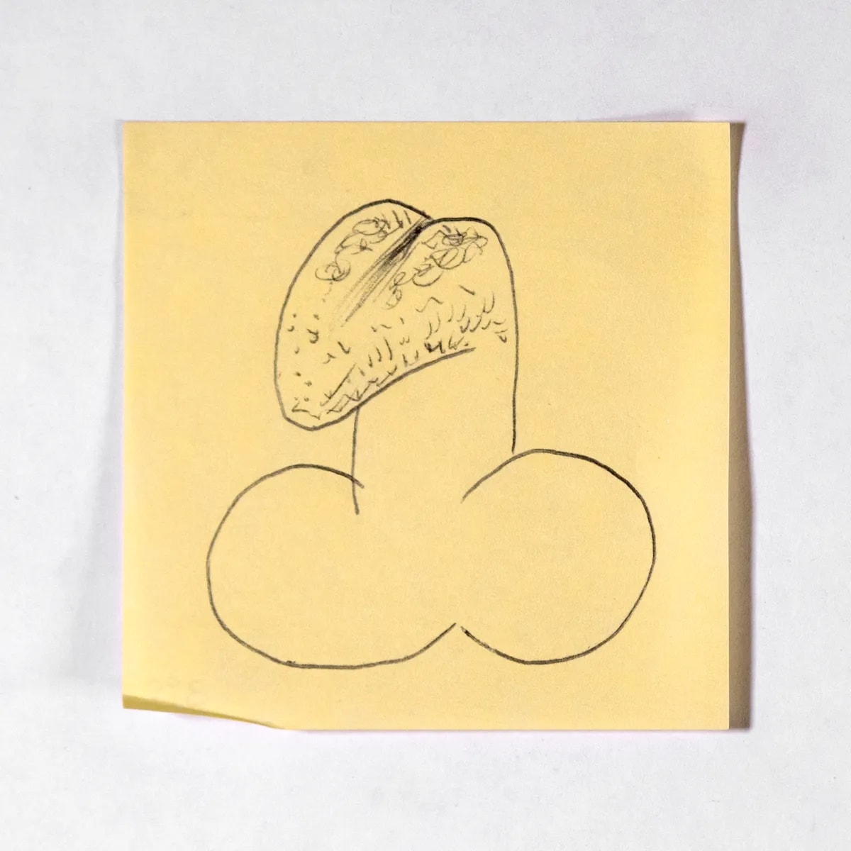 Taste, No. 399 of 512: a hand-drawn cazzo on a sticky note