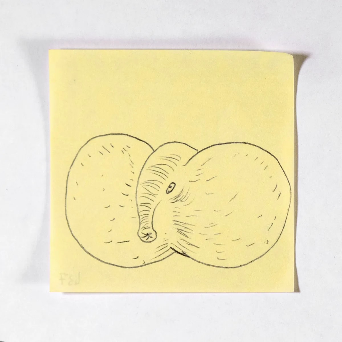 Uranian, No. 437 of 512: a hand-drawn cazzo on a sticky note
