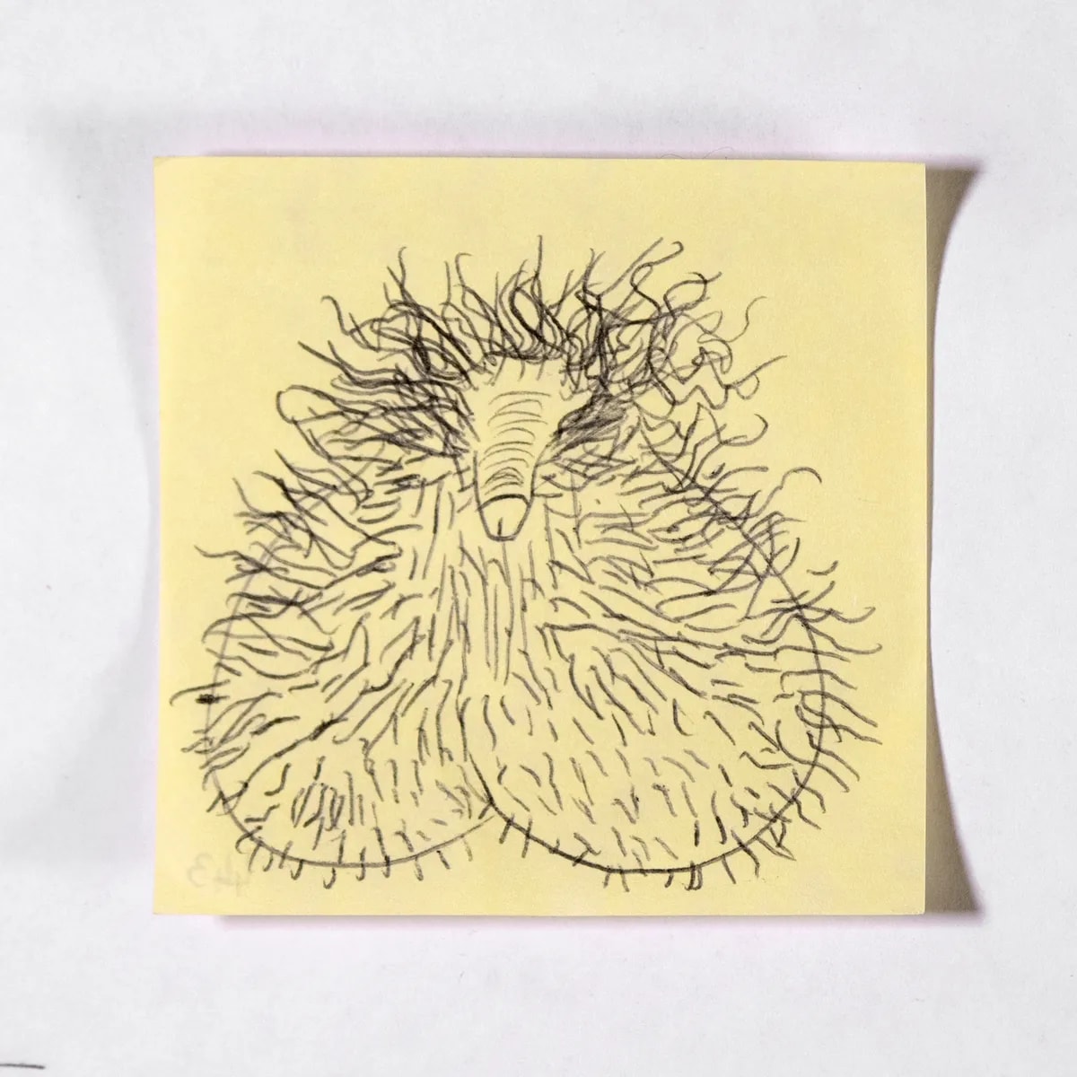 Macroscrotic5, No. 443 of 512: a hand-drawn cazzo on a sticky note