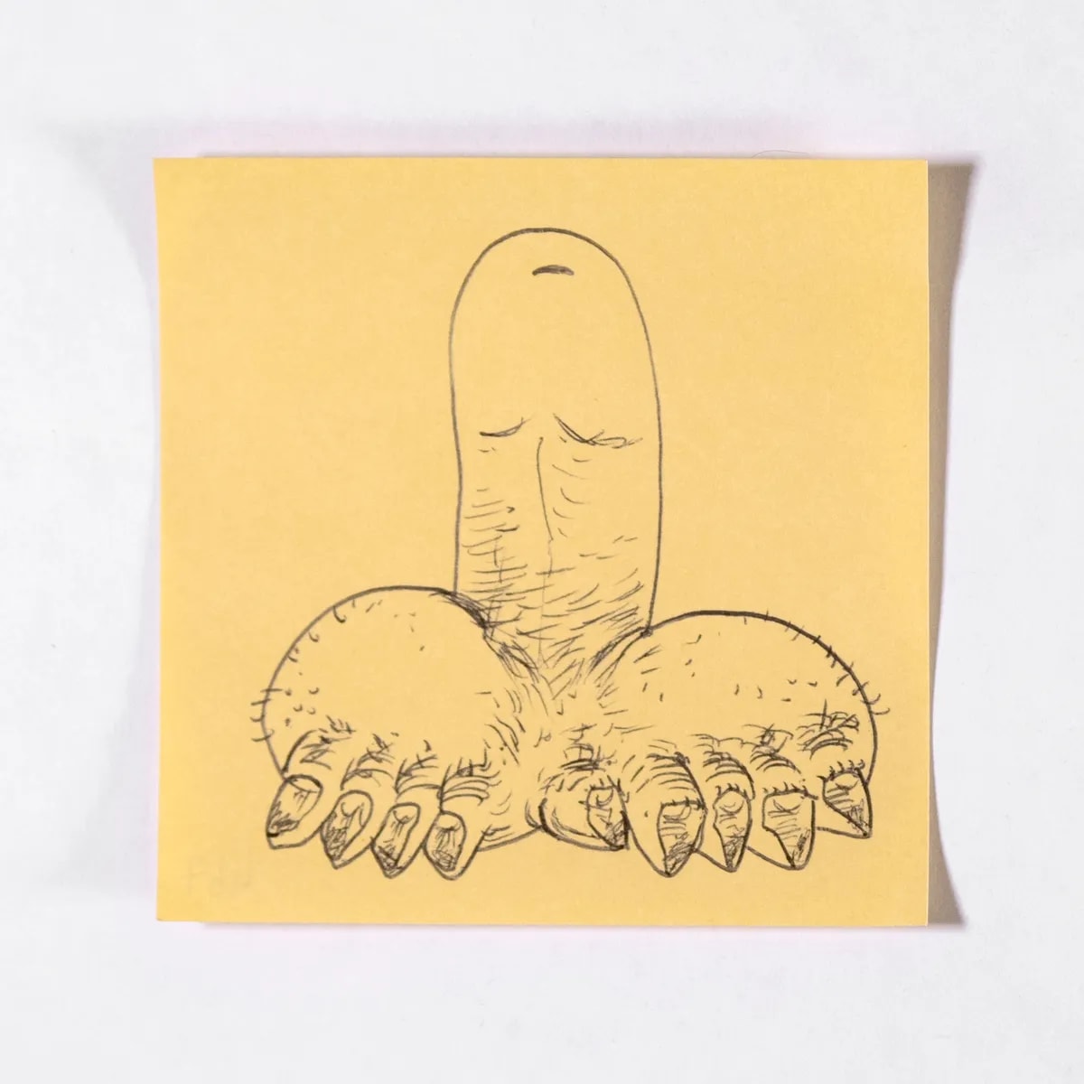 Ungulate, No. 467 of 512: a hand-drawn cazzo on a sticky note