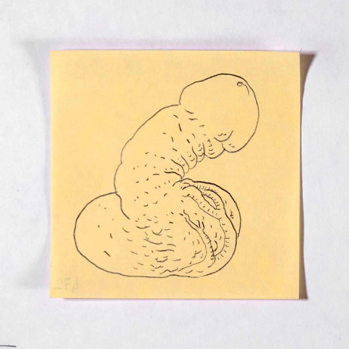 Cynical, No. 472 of 512: a hand-drawn cazzo on a sticky note