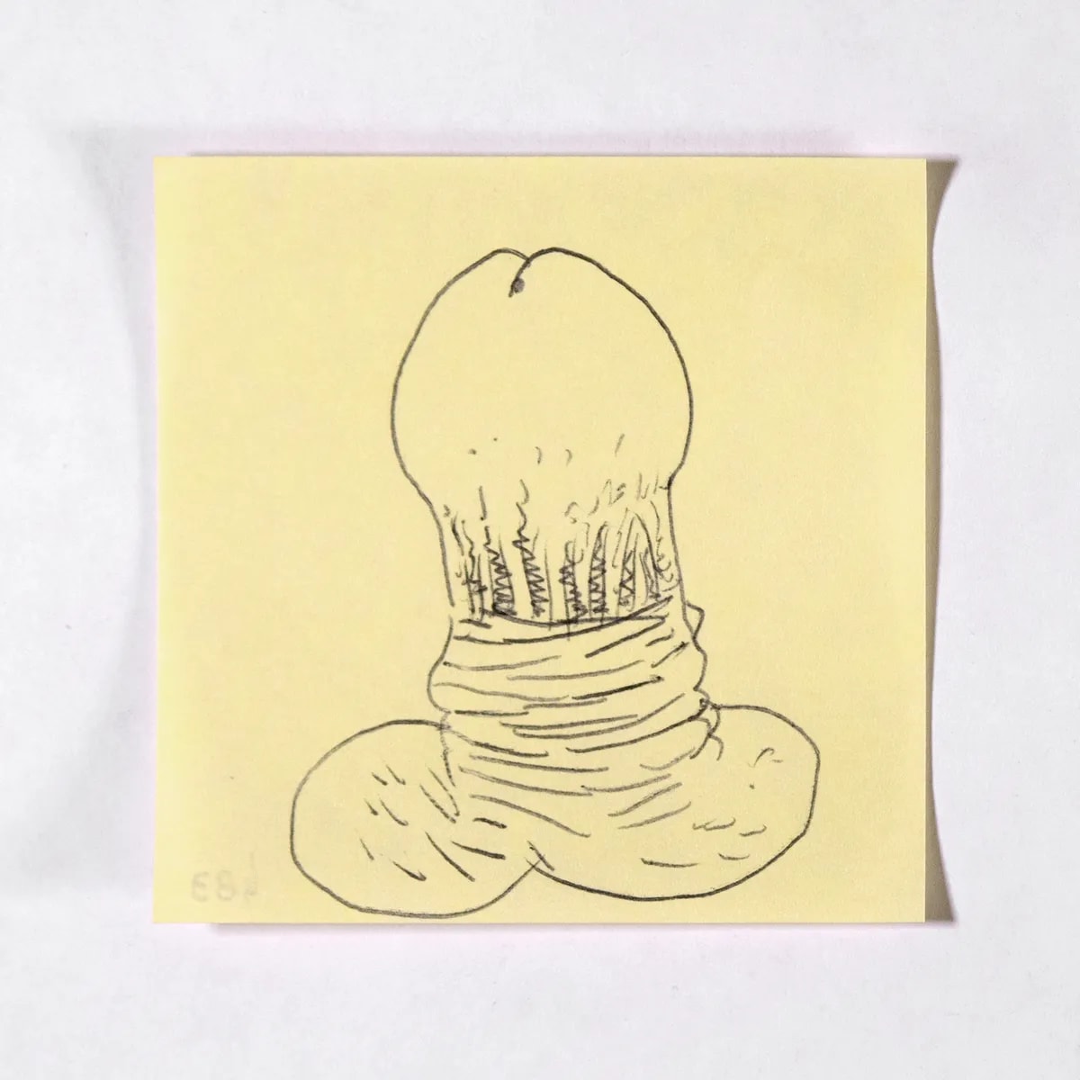 Skinned, No. 483 of 512: a hand-drawn cazzo on a sticky note