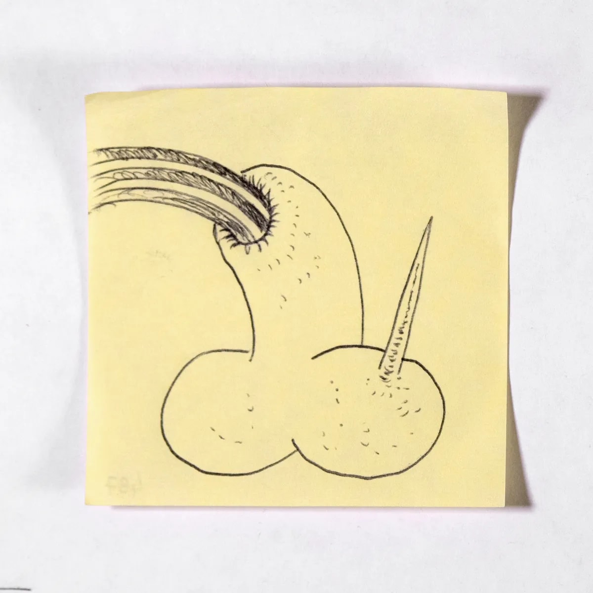 Unicorn, No. 487 of 512: a hand-drawn cazzo on a sticky note