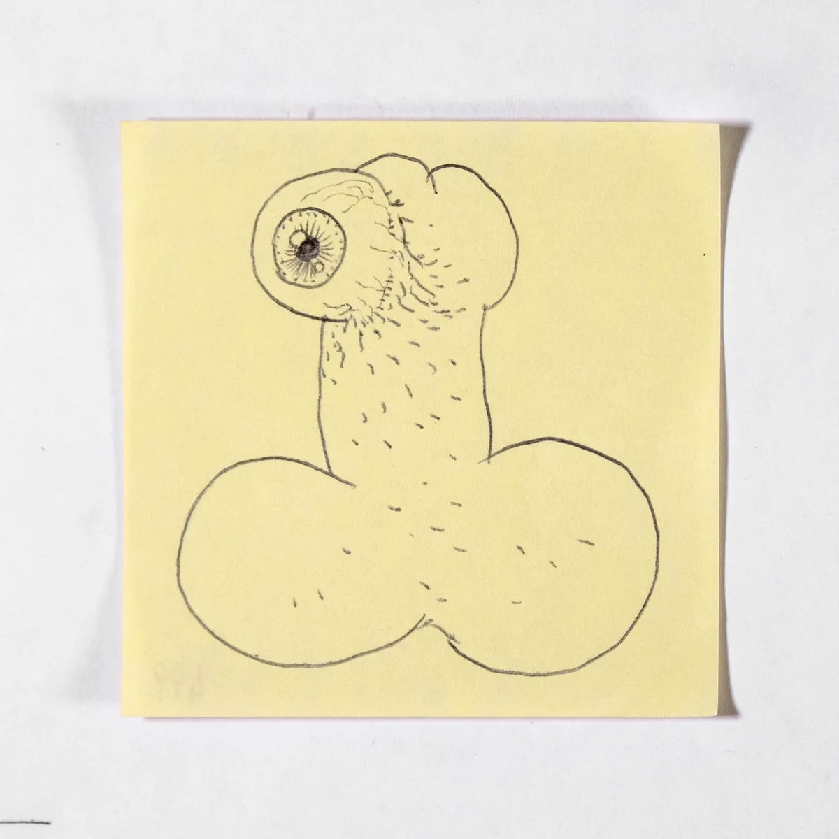 Sight, No. 499 of 512: a hand-drawn cazzo on a sticky note