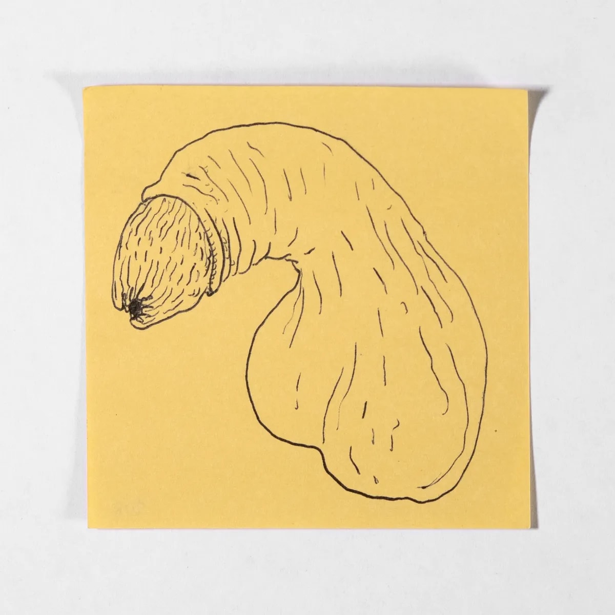 Dry, No. 108 of 512: a hand-drawn cazzo on a sticky note