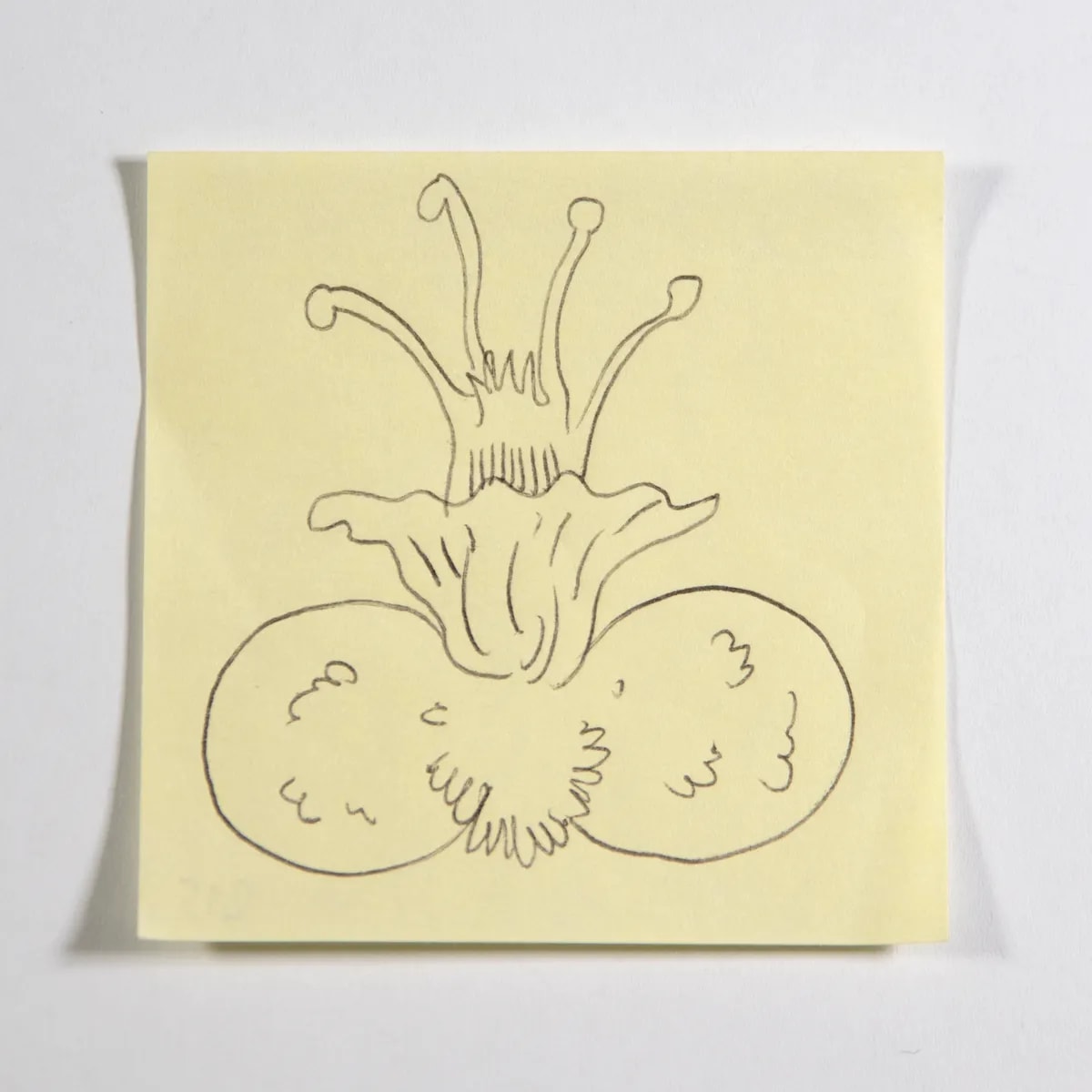 Ganymedian, No. 215 of 512: a hand-drawn cazzo on a sticky note
