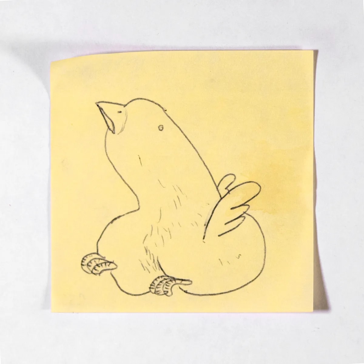 Bird, No. 255 of 512: a hand-drawn cazzo on a sticky note
