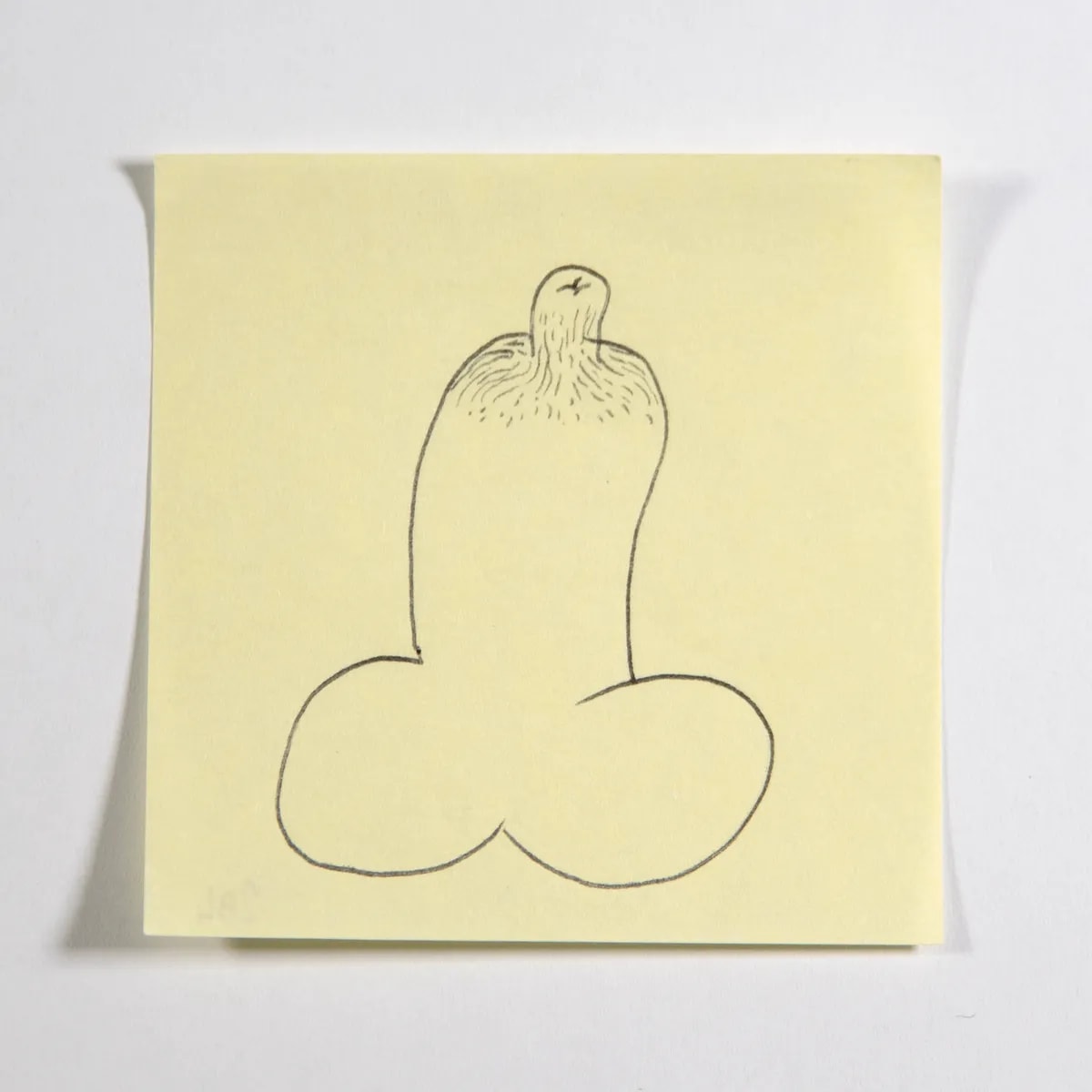 Nipple, No. 284 of 512: a hand-drawn cazzo on a sticky note