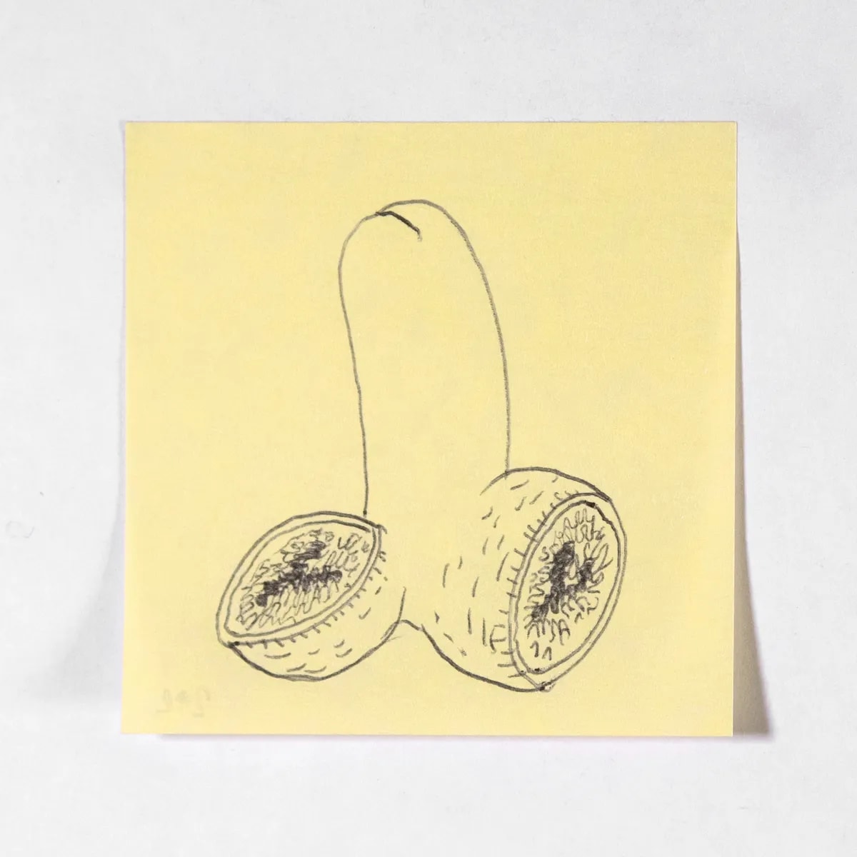 Dissected5, No. 292 of 512: a hand-drawn cazzo on a sticky note