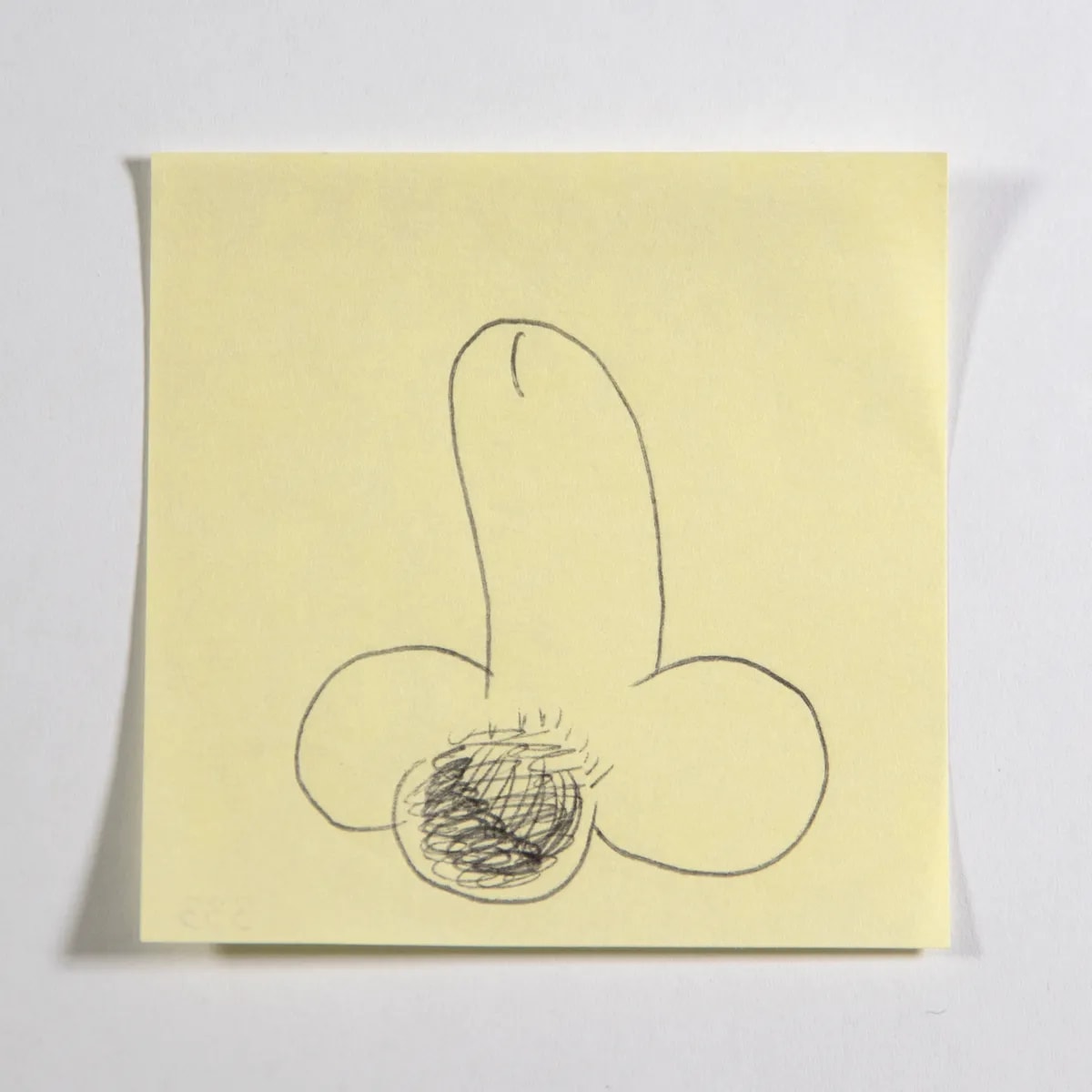Bubble, No. 333 of 512: a hand-drawn cazzo on a sticky note