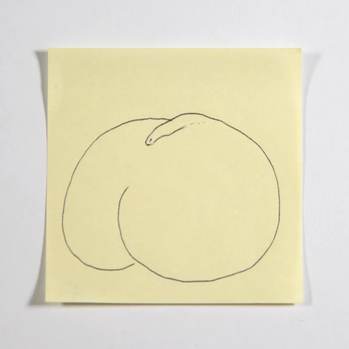 Macroscrotic4, No. 343 of 512: a hand-drawn cazzo on a sticky note