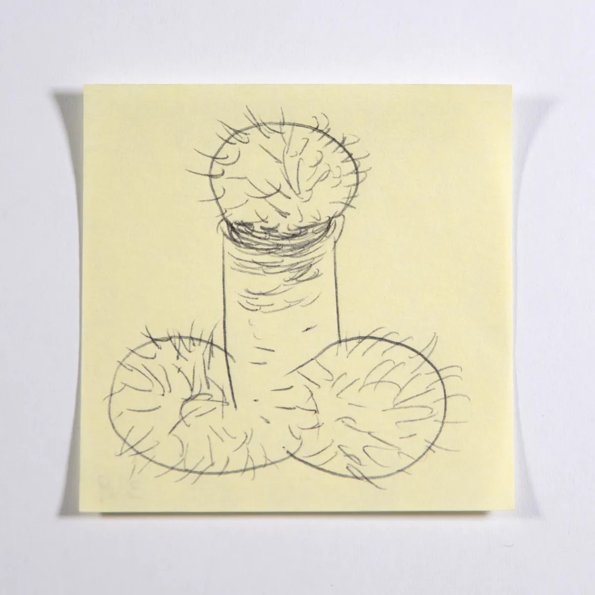 Tritesticled2, No. 349 of 512: a hand-drawn cazzo on a sticky note