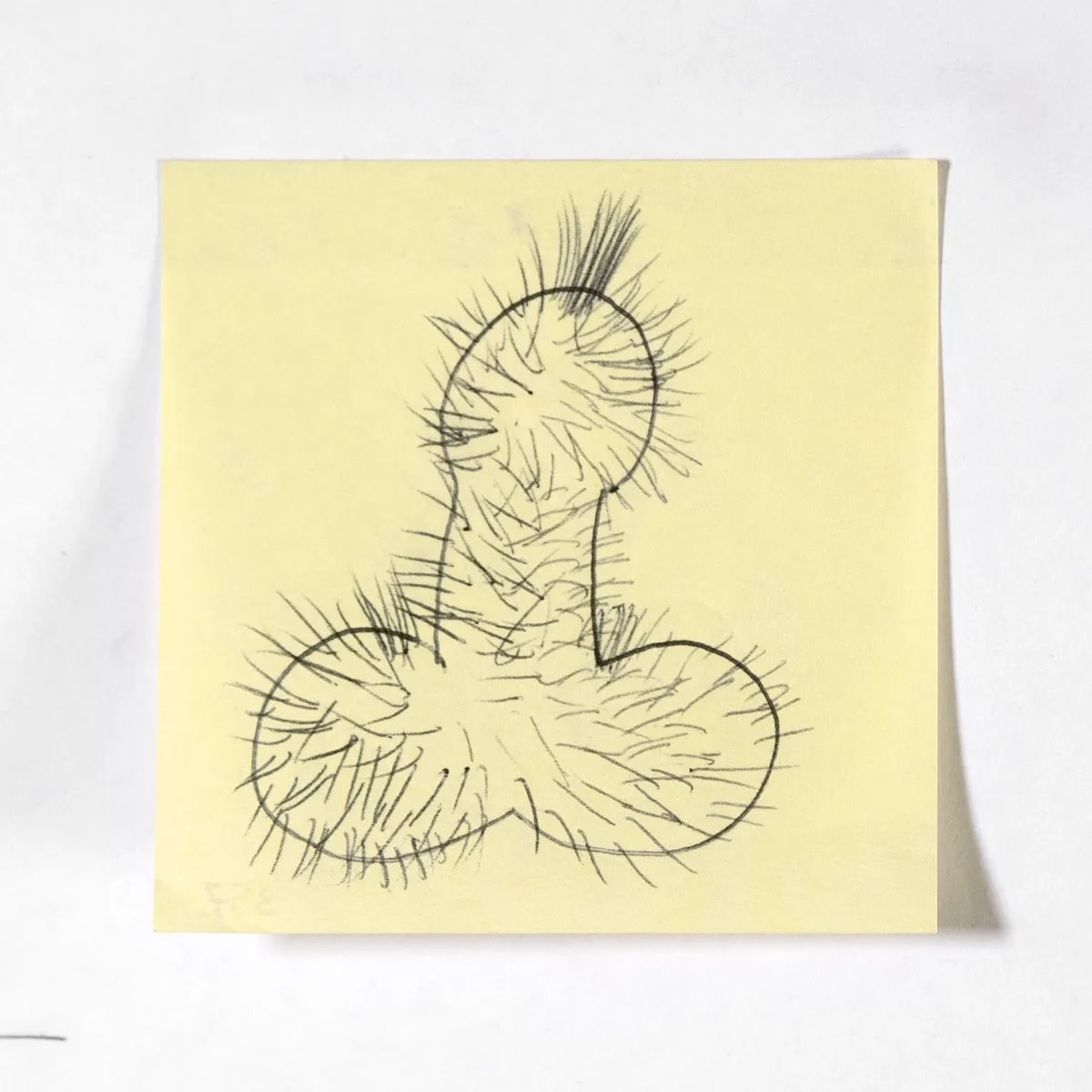 Shaggy2, No. 357 of 512: a hand-drawn cazzo on a sticky note