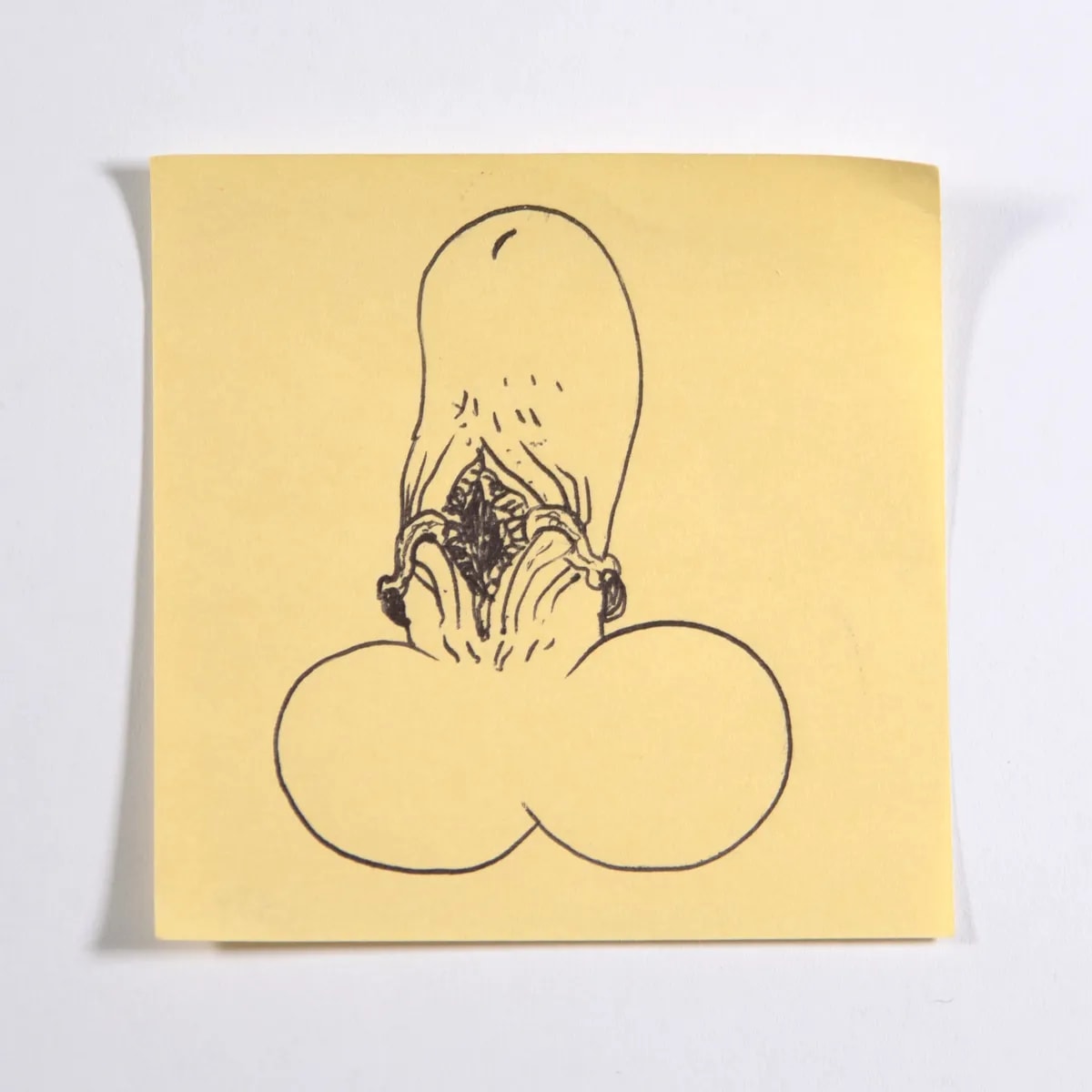 Cenobite, No. 359 of 512: a hand-drawn cazzo on a sticky note