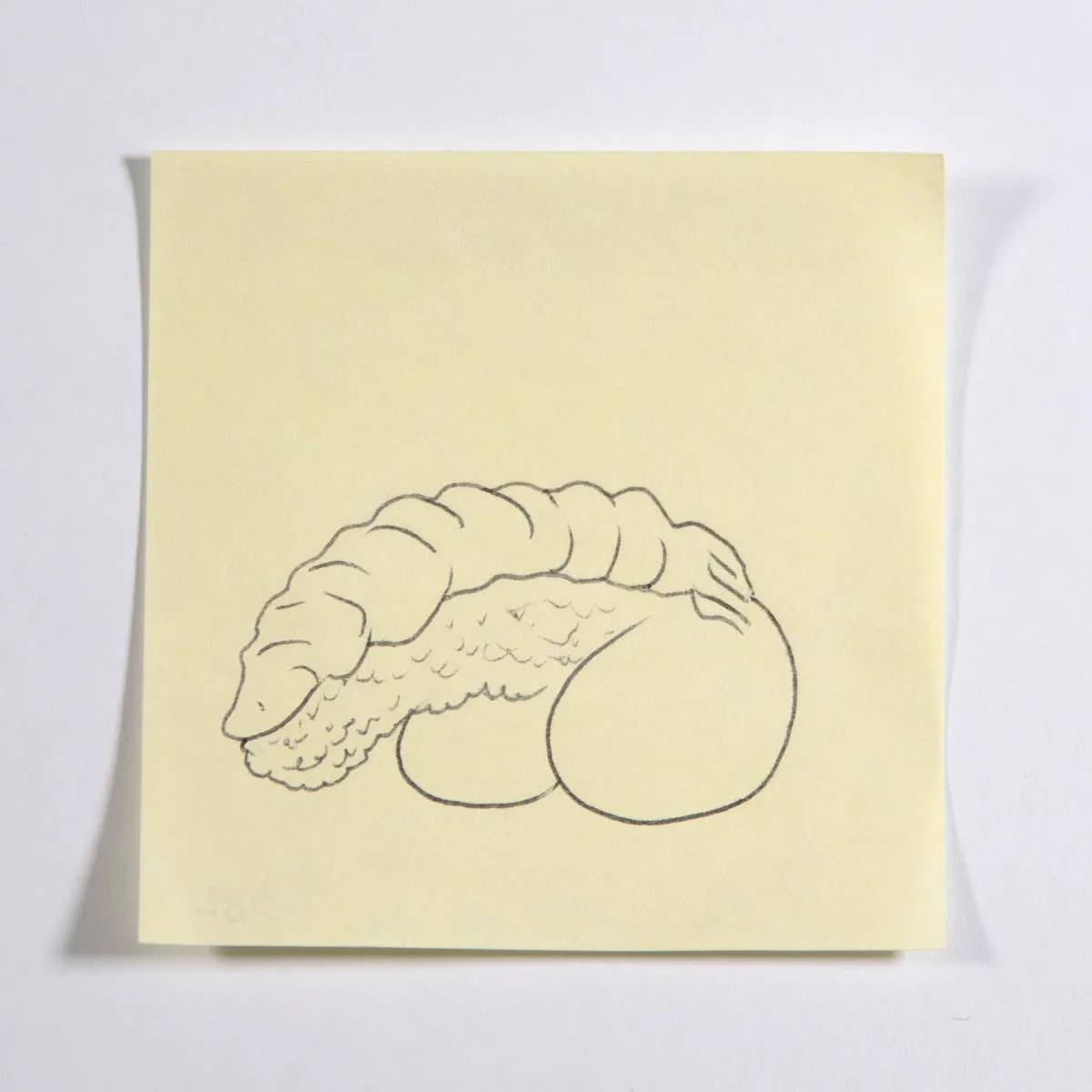 Sushi, No. 382 of 512: a hand-drawn cazzo on a sticky note