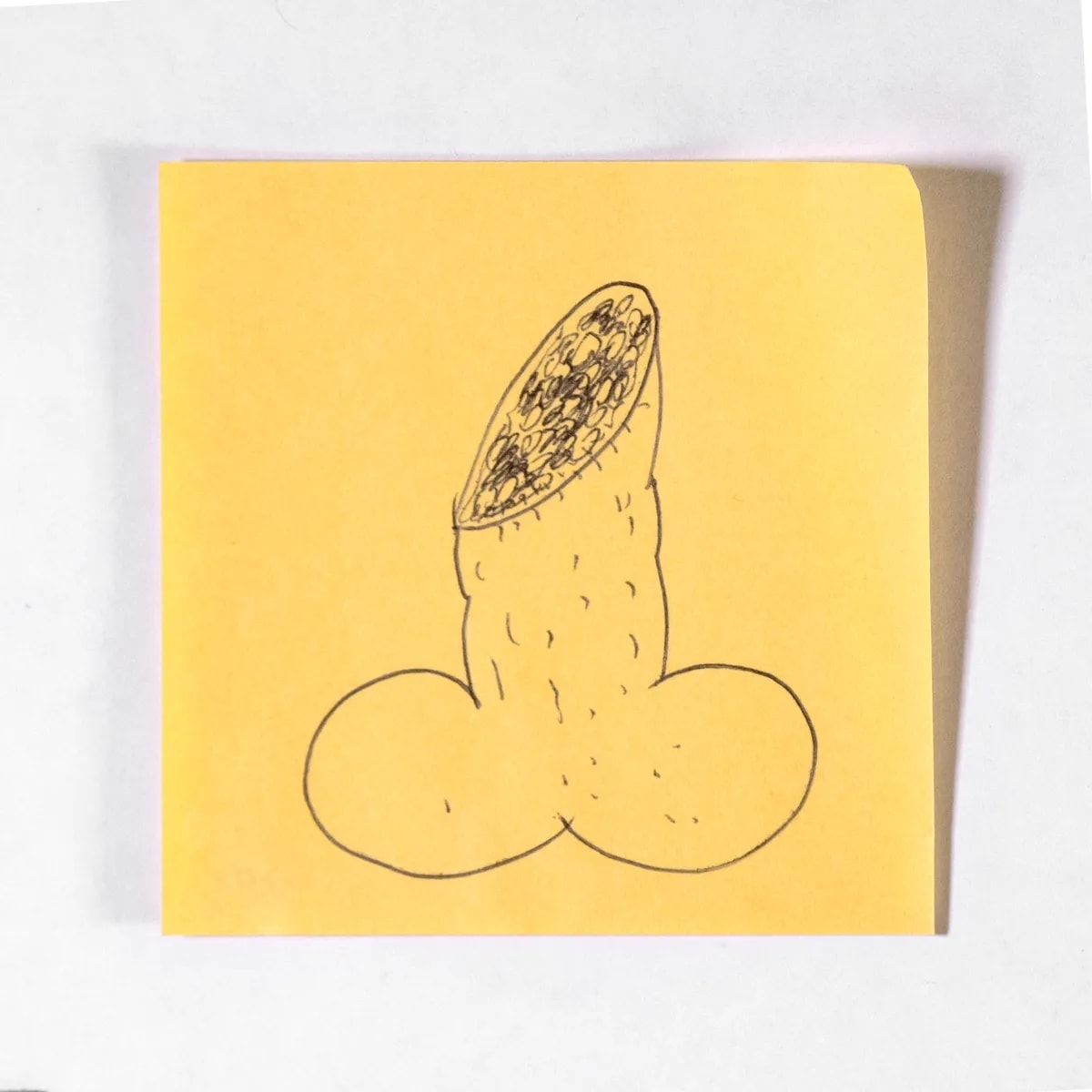 Salami, No. 391 of 512: a hand-drawn cazzo on a sticky note