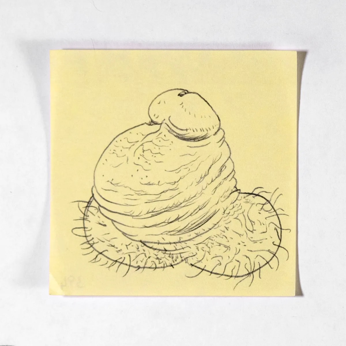 Goiter, No. 394 of 512: a hand-drawn cazzo on a sticky note