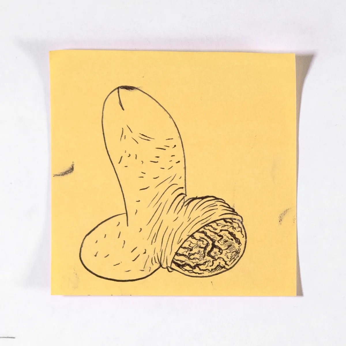 Scraped, No. 415 of 512: a hand-drawn cazzo on a sticky note