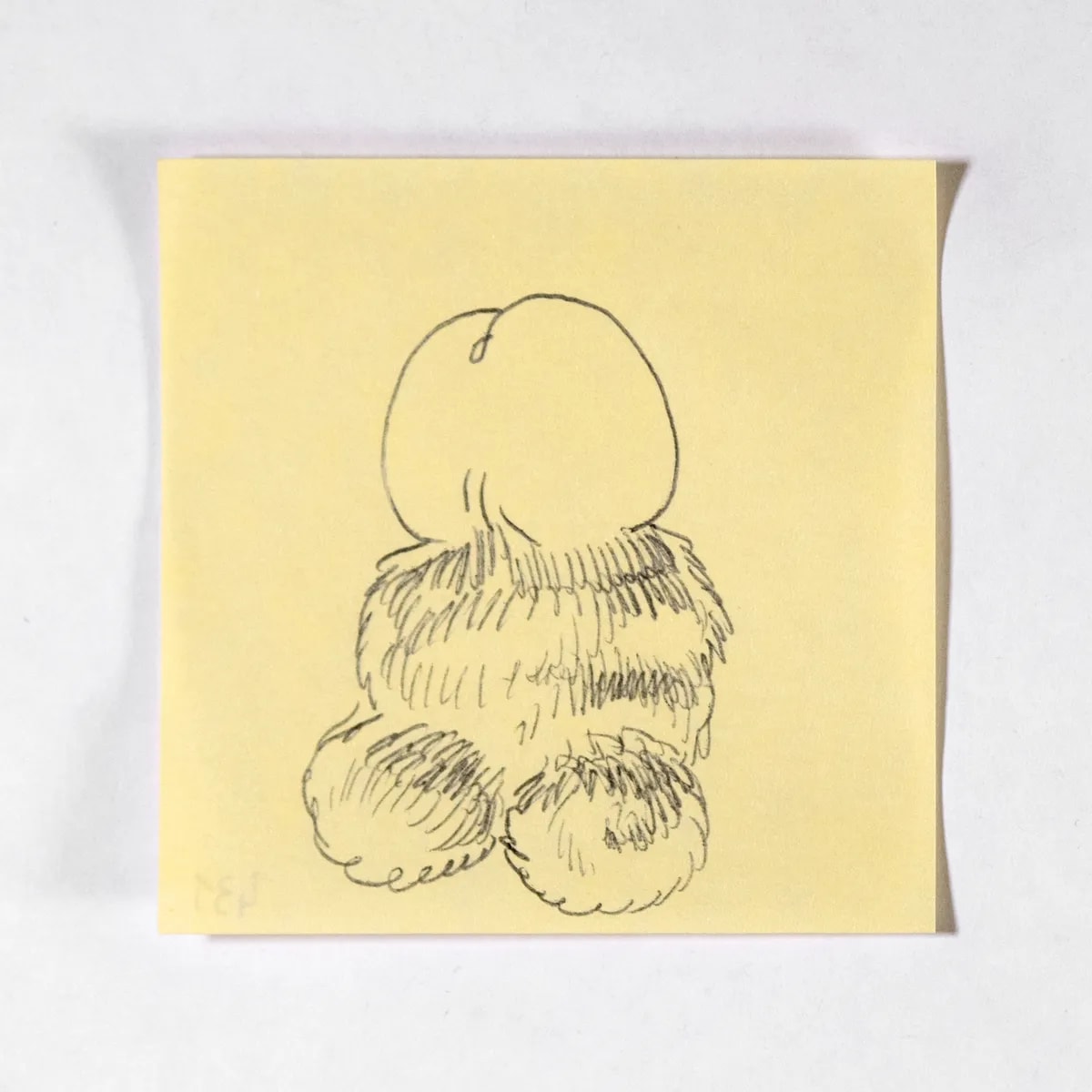 Shaggy3, No. 431 of 512: a hand-drawn cazzo on a sticky note