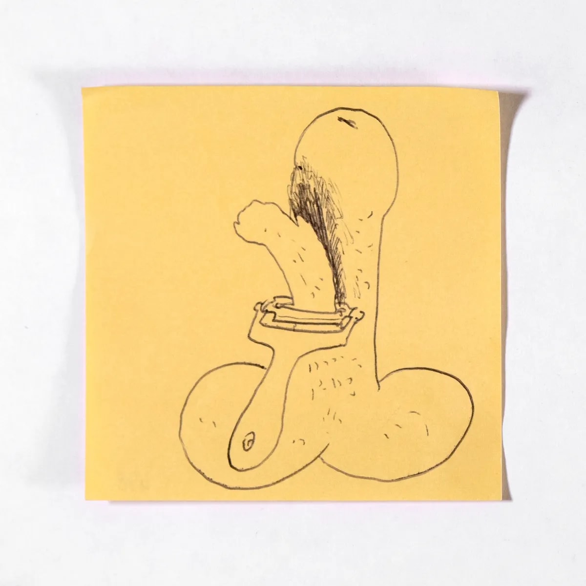 Peeled, No. 458 of 512: a hand-drawn cazzo on a sticky note