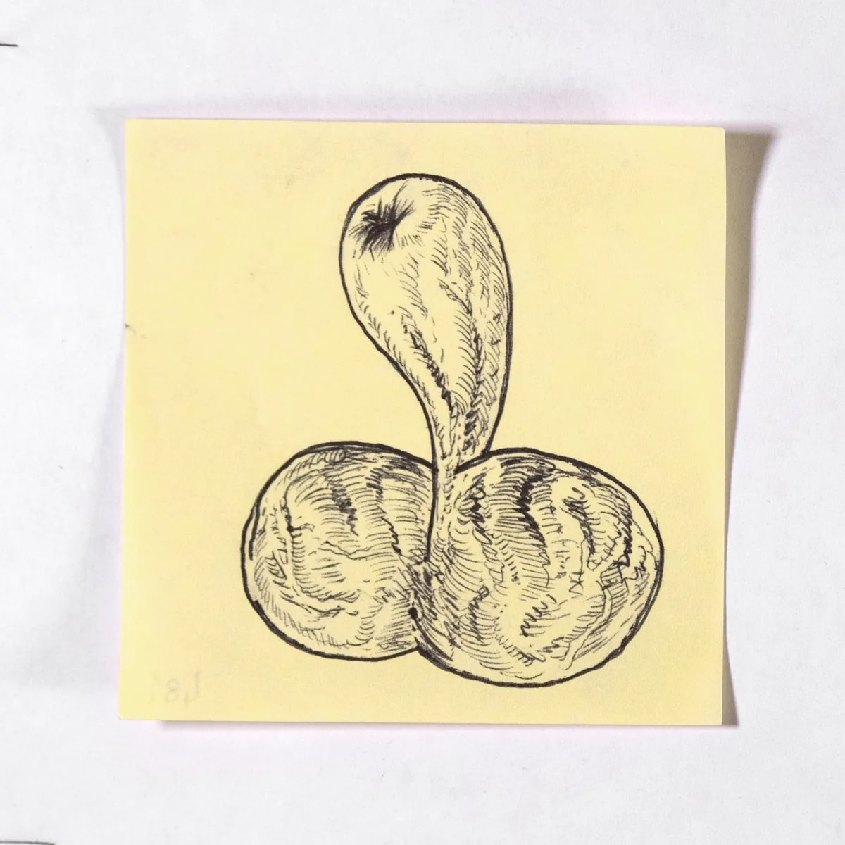Seed, No. 481 of 512: a hand-drawn cazzo on a sticky note