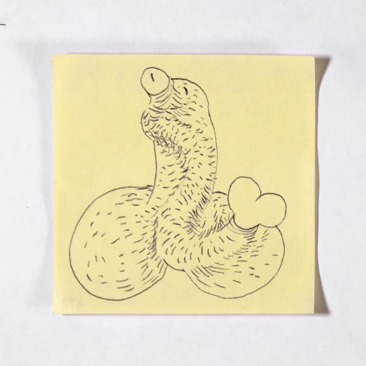 Parasite, No. 490 of 512: a hand-drawn cazzo on a sticky note