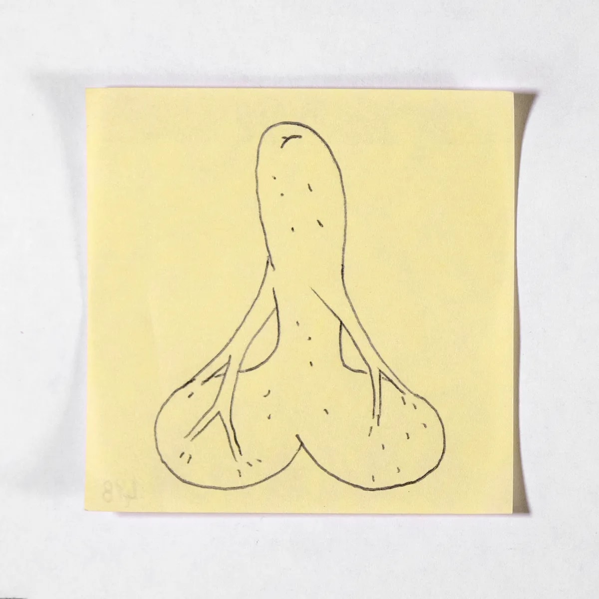 Venusian, No. 498 of 512: a hand-drawn cazzo on a sticky note